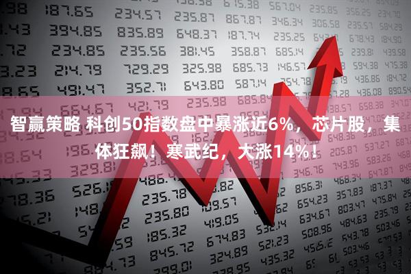 智赢策略 科创50指数盘中暴涨近6%，芯片股，集体狂飙！寒武纪，大涨14%！