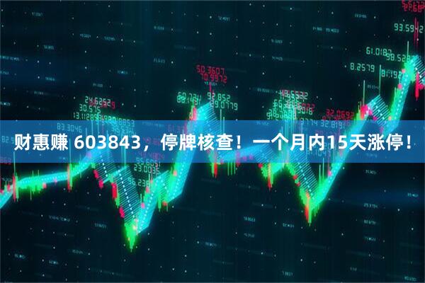 财惠赚 603843，停牌核查！一个月内15天涨停！